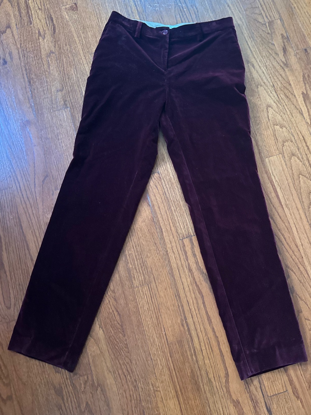 Etro Burgundy Velvet Pants